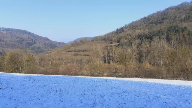 im schönen Grimmbachtal❄️😍❄️ | Foto: Ralf Röser
