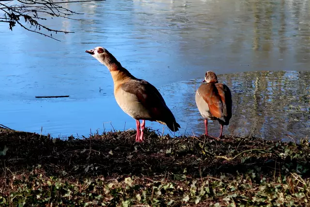 Foto: Eduard Warenik