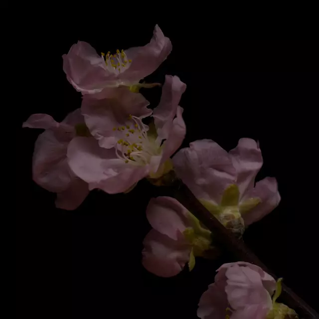 Foto: Eigenes Bild TB