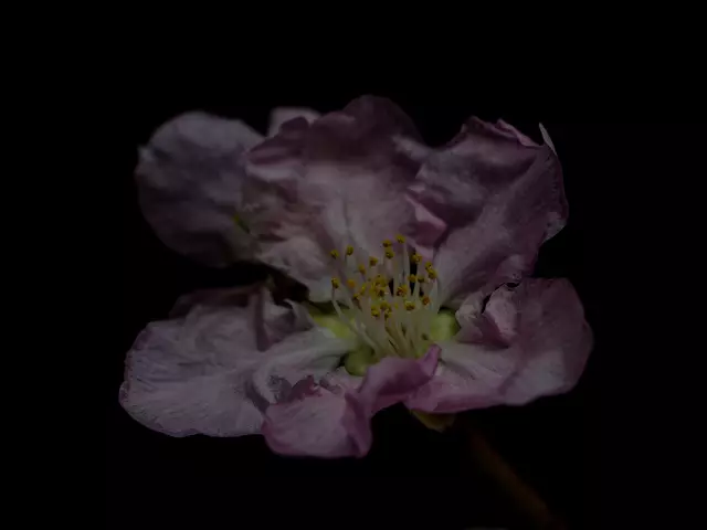 Foto: Eigenes Bild TB