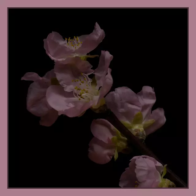 Foto: Eigenes Bild TB