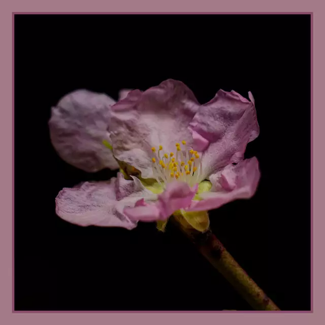 Foto: Eigenes Bild TB