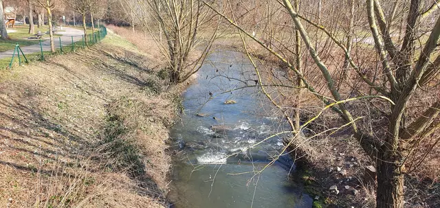 die Zaber | Foto: privat Sibylle Tröber