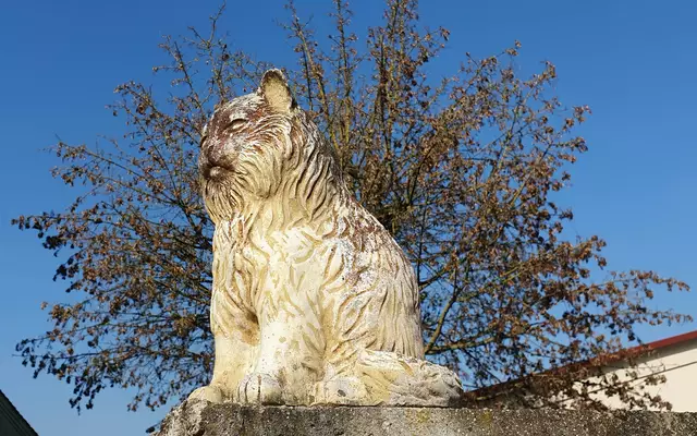 am Wegesrand | Foto: privat Sibylle Tröber