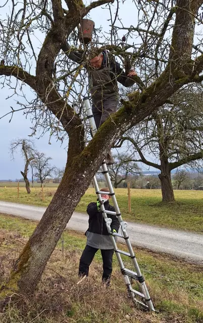 Zum Putzen der Nistkästen braucht es ein bisschen Mut und Geschick. | Foto: Karin Oechslen