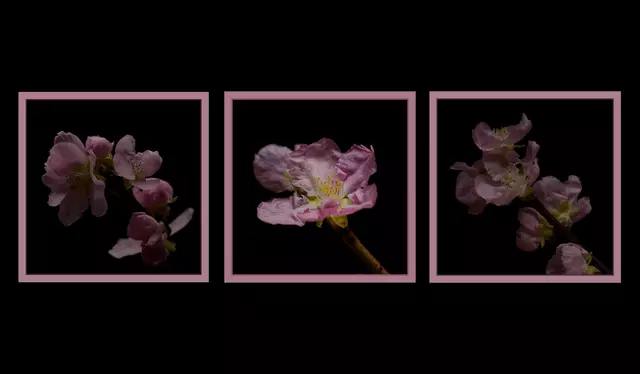 Foto: Eigenes Bild TB