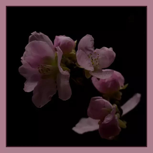 Foto: Eigenes Bild TB