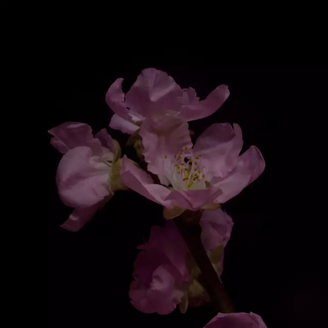 Foto: Eigenes Bild TB