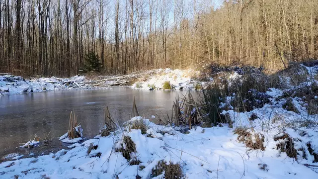 gefrorene Tümpel | Foto: WandernGabyErich
