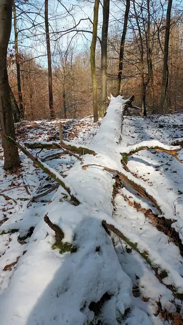 Foto: WandernGabyErich