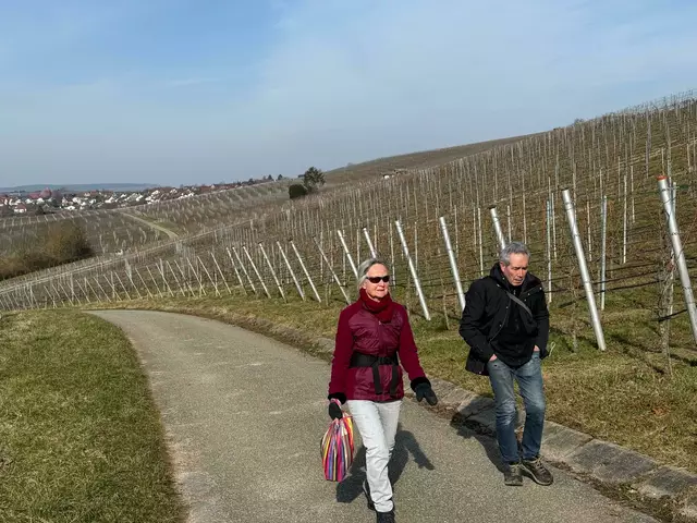 Es geht durch die Weinberge | Foto: E. Rosendorf