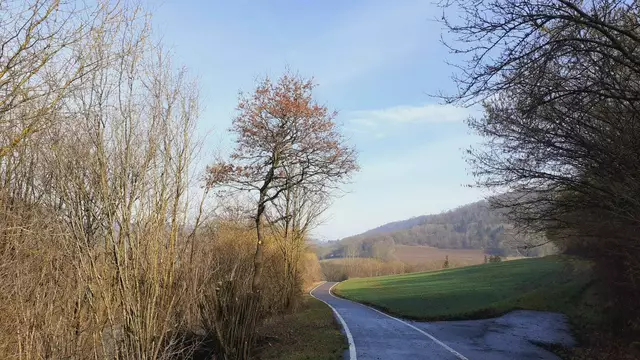 Vorfrühling🌼😍🌺 | Foto: Ralf Röser