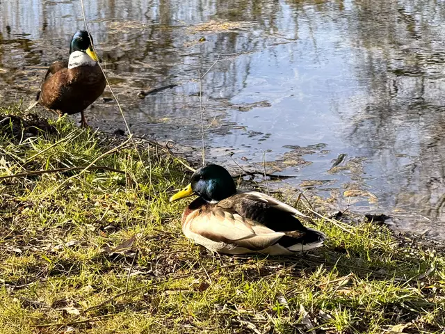 Foto: Heide Böllinger aus Bad Friedrichshall