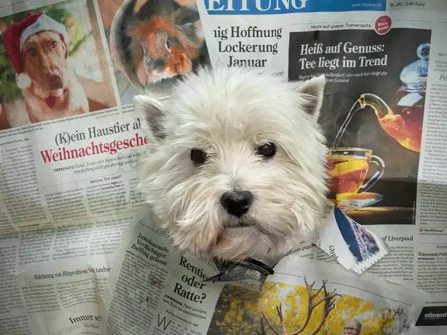 Ich habe den Durchblick.  | Foto: Rüdiger Reingräber