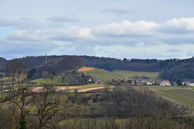 Foto: Michael Harmsen