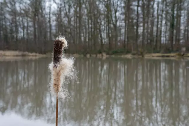 Foto: Michael Harmsen