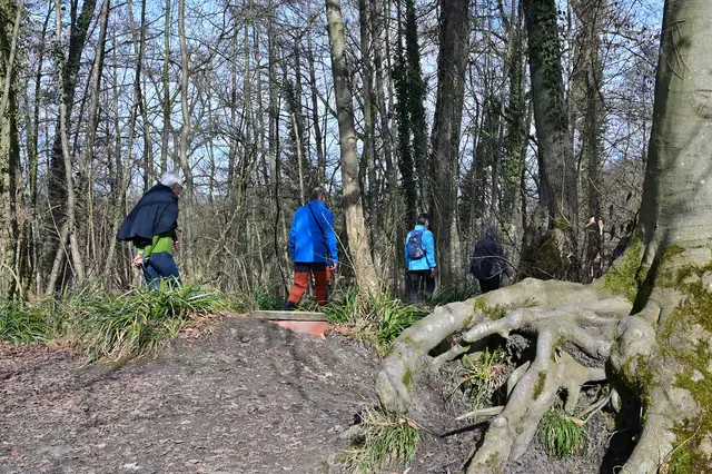Hier wohnen die Trolle vom Bleichsee. | Foto: Michael Harmsen