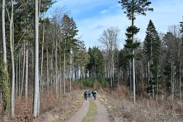 Foto: Michael Harmsen