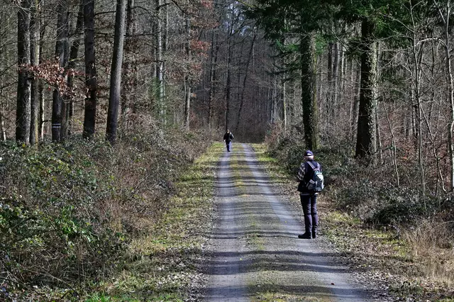 Foto: Michael Harmsen