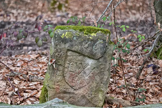 Foto: Michael Harmsen