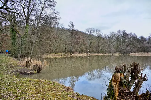 Foto: Michael Harmsen