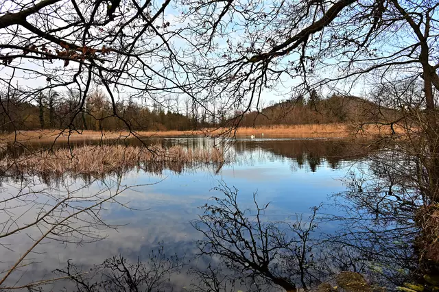 Malerisch der Bleichsee im Licht der Nachmittagssonne. | Foto: Michael Harmsen