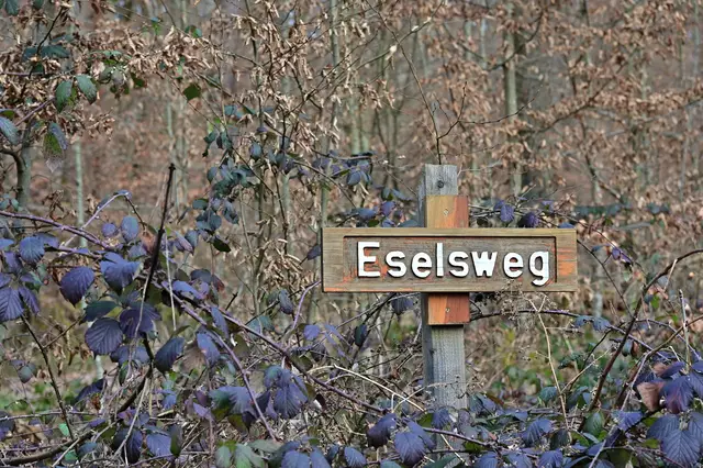 :-))))))) | Foto: Michael Harmsen