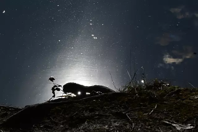 Funkeln da ein paar Diamanten? | Foto: Michael Harmsen