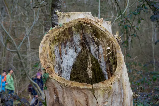 Foto: Michael Harmsen