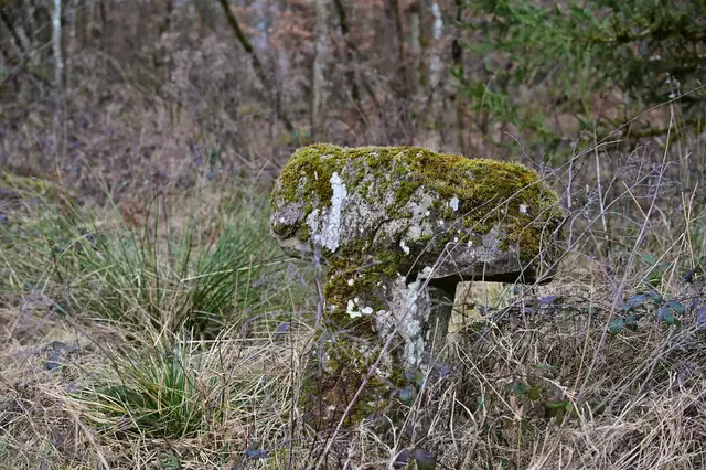 Das Steinkreuz. | Foto: Michael Harmsen