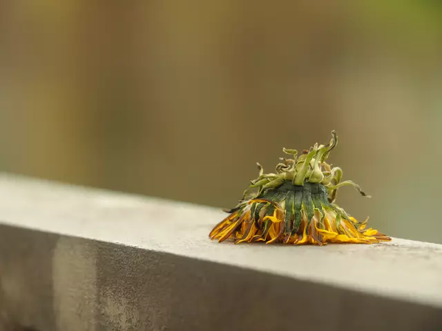 Foto: Steffen Widenmeyer