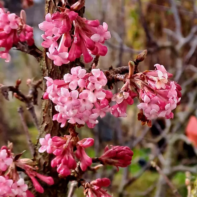 Foto: Eduard Warenik