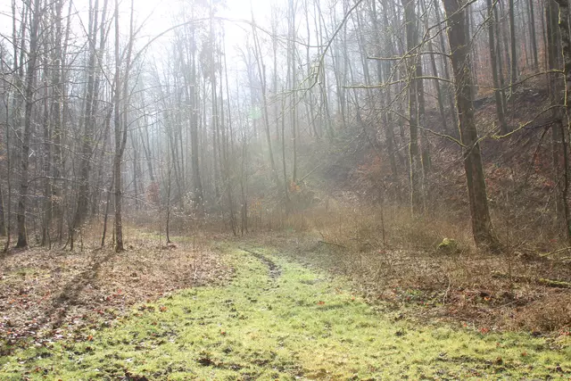 Kupfertal- schwarzer Steg- Forchtenberg | Foto: Ralf Röser