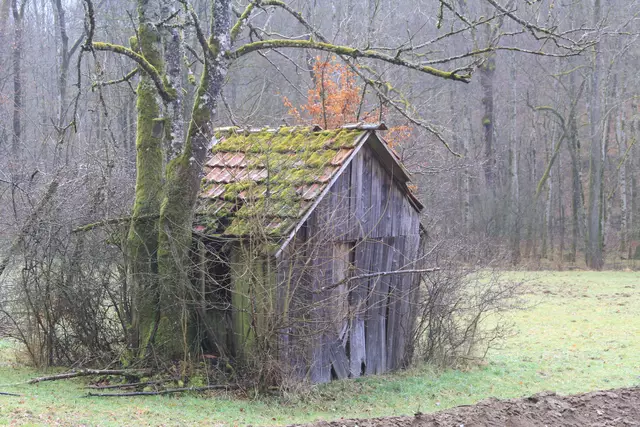 Kupfertal- schwarzer Steg- Forchtenberg | Foto: Ralf Röser