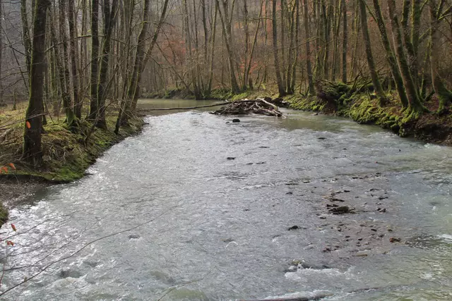 Kupfertal- schwarzer Steg- Forchtenberg | Foto: Ralf Röser