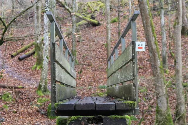 Kupfertal- schwarzer Steg- Forchtenberg | Foto: Ralf Röser