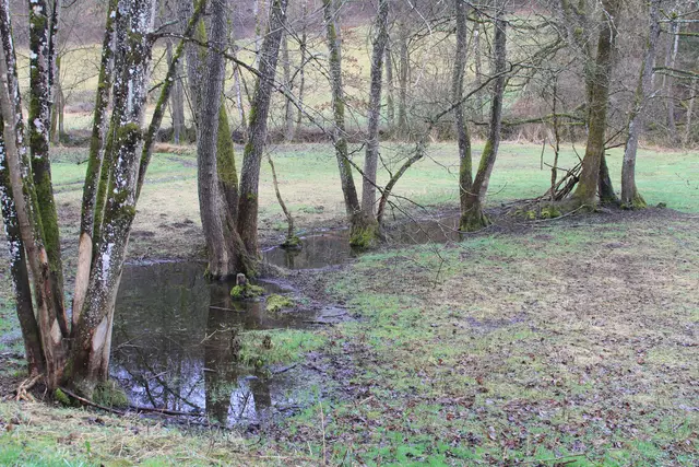 Kupfertal- schwarzer Steg- Forchtenberg | Foto: Ralf Röser