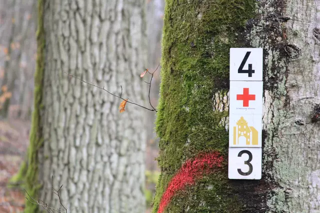 Kupfertal- schwarzer Steg- Forchtenberg | Foto: Ralf Röser