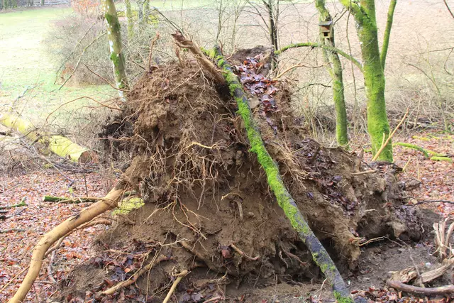 Kupfertal- schwarzer Steg- Forchtenberg | Foto: Ralf Röser