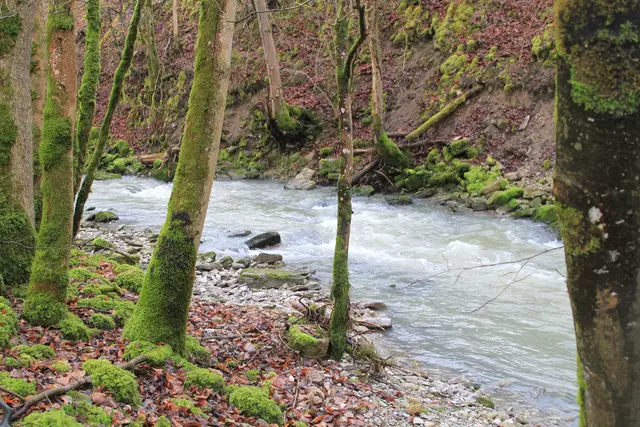 Kupfertal- schwarzer Steg- Forchtenberg | Foto: Ralf Röser