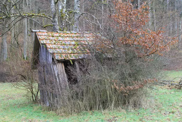 Kupfertal- schwarzer Steg- Forchtenberg | Foto: Ralf Röser
