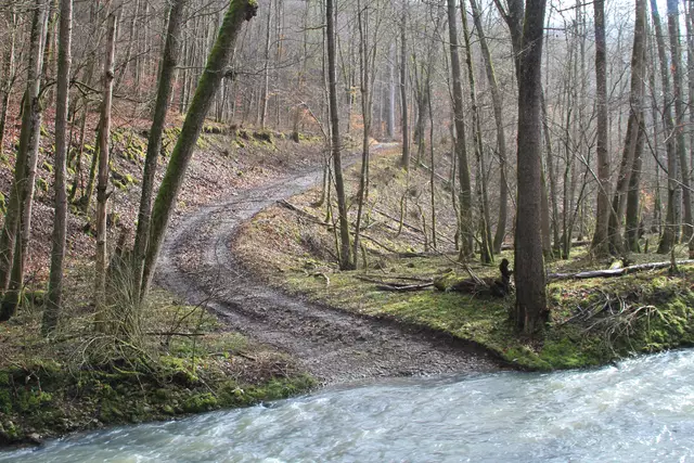 Kupfertal- schwarzer Steg- Forchtenberg | Foto: Ralf Röser