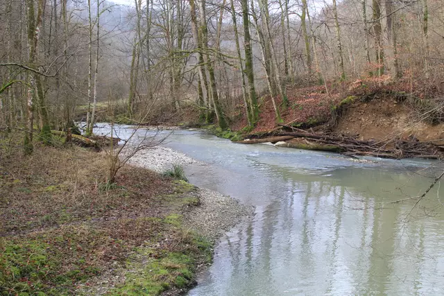 Kupfertal- schwarzer Steg- Forchtenberg | Foto: Ralf Röser