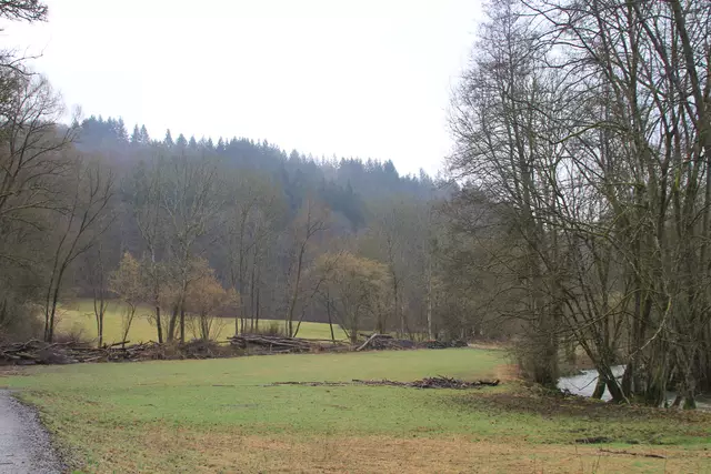 Kupfertal- schwarzer Steg- Forchtenberg | Foto: Ralf Röser