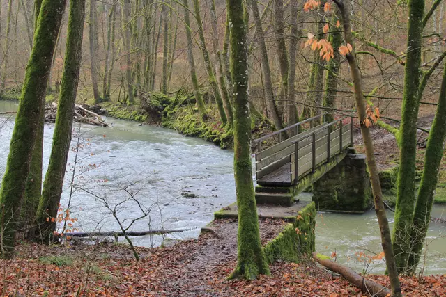 Kupfertal- schwarzer Steg- Forchtenberg | Foto: Ralf Röser