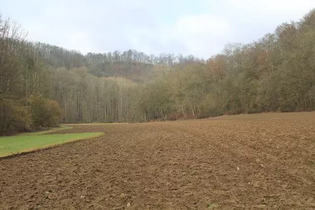 Kupfertal- schwarzer Steg- Forchtenberg | Foto: Ralf Röser