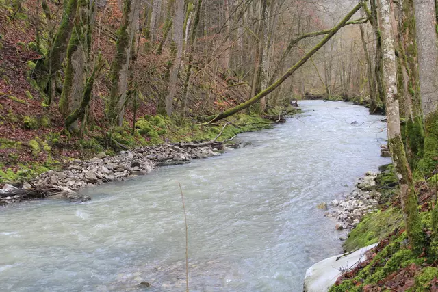 Kupfertal- schwarzer Steg- Forchtenberg | Foto: Ralf Röser