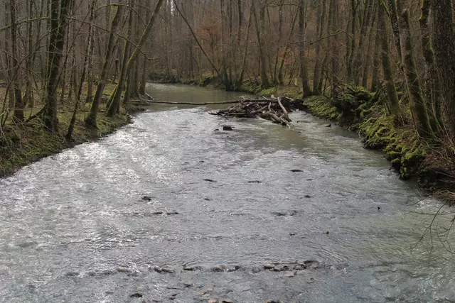 Kupfertal- schwarzer Steg- Forchtenberg | Foto: Ralf Röser