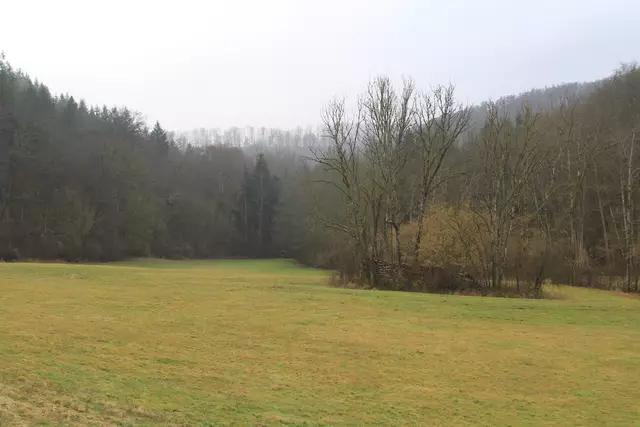 Kupfertal- schwarzer Steg- Forchtenberg | Foto: Ralf Röser