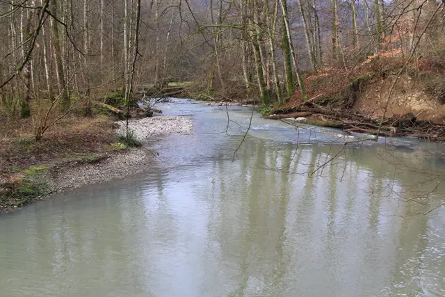 Kupfertal- schwarzer Steg- Forchtenberg | Foto: Ralf Röser